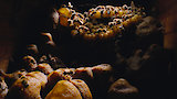 The Hive