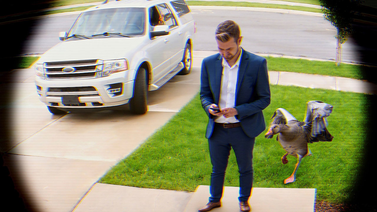 Neighborhood Watch