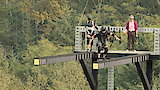 Walk the Plank