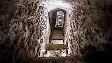 Tunnels and Tombs