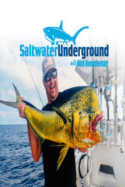 Saltwater Underground with Nick Honachefsky