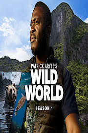 Patrick Aryee's Wild World