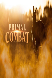 Primal Combat