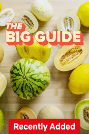 The Big Guide