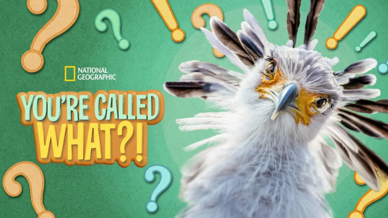 You're Called What?!