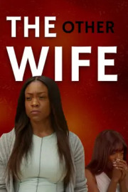 The Other Wife