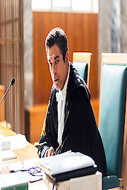 The Cases of Attorney Guerrieri