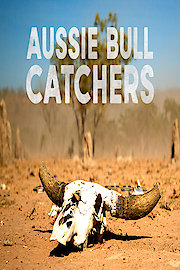 Aussie Bull Catchers