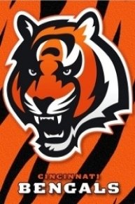 NFL Follow Your Team - Cincinnati Bengals
