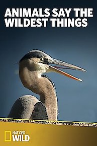 Animals Say the Wildest Things