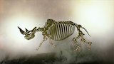 Walk Like a Dinosaur
