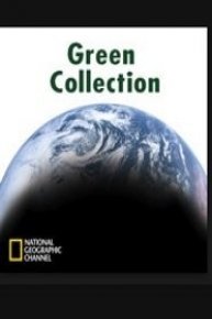 Green Collection