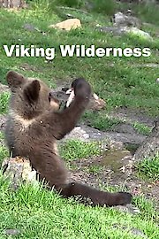 Viking Wilderness