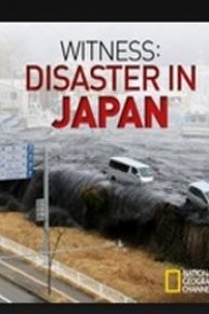 Witness: Disaster In Japan