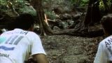 Africa: Wilds of Madagascar