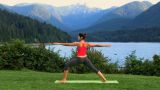 In a Heartbeat Vinyasa Yoga