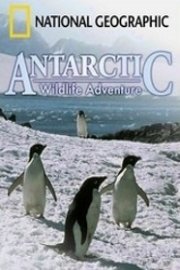 Antarctic Wildlife Adventure