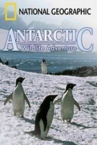 Antarctic Wildlife Adventure