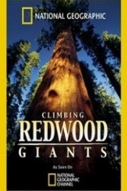 Climbing Redwood Giants