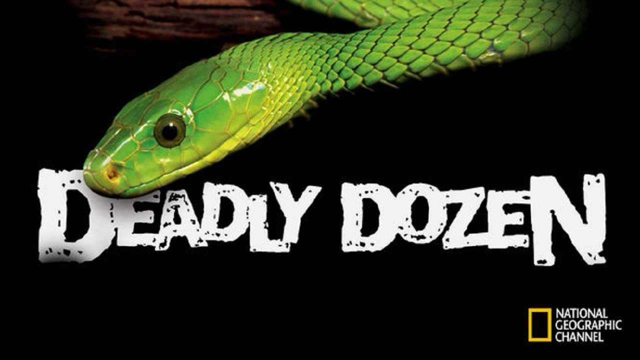 Deadly Dozen
