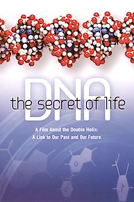 DNA