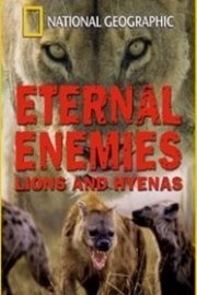 Eternal Enemies: Lions and Hyenas