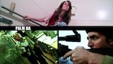 Palm Bay Rampage