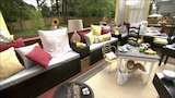 Dining Room Dreams