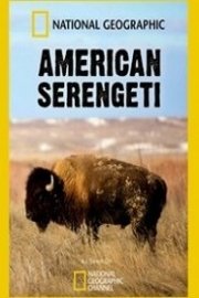 American Serengeti