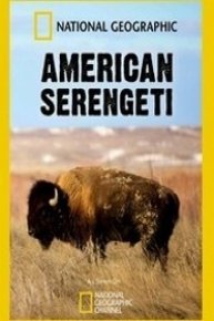 American Serengeti