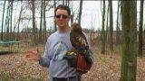 The Outdoorsmen: Blood, Sweat and Beers