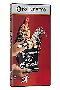 The Natural History of the Chicken