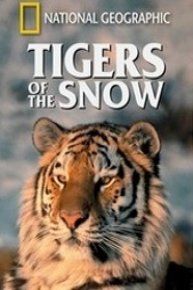 Tigers of the Snow