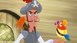 Captain Quixote / Captain Hook's Crocodile Crew