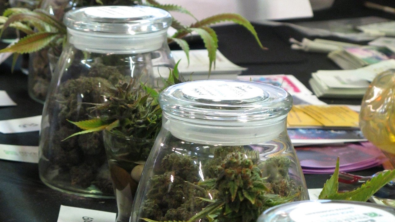American Weed