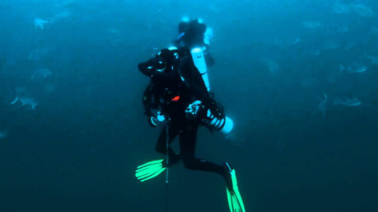 Quest for Sunken Warships