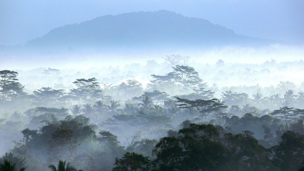 Wild Indonesia (BBC Earth)