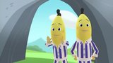 The Honking Bananas