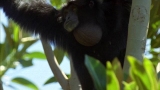 Planet Earth: Extreme Journeys