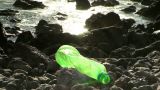 Plastic: The Real Sea Monster