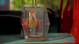 Bernie the Parrot / Red Rocket