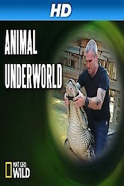 Animal Underworld