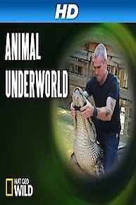 Animal Underworld