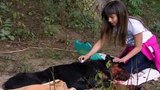 Una niña encuentra a un perrito abandonado pero su mam'á le prohÃ­be acercarse a él. Un dÃ­a encuentran al perrito afuera de su casa y la niña lo lleva al jardÃ­n. El perro salva a la hija mayor de ser abusada y la señora decide quedarse c