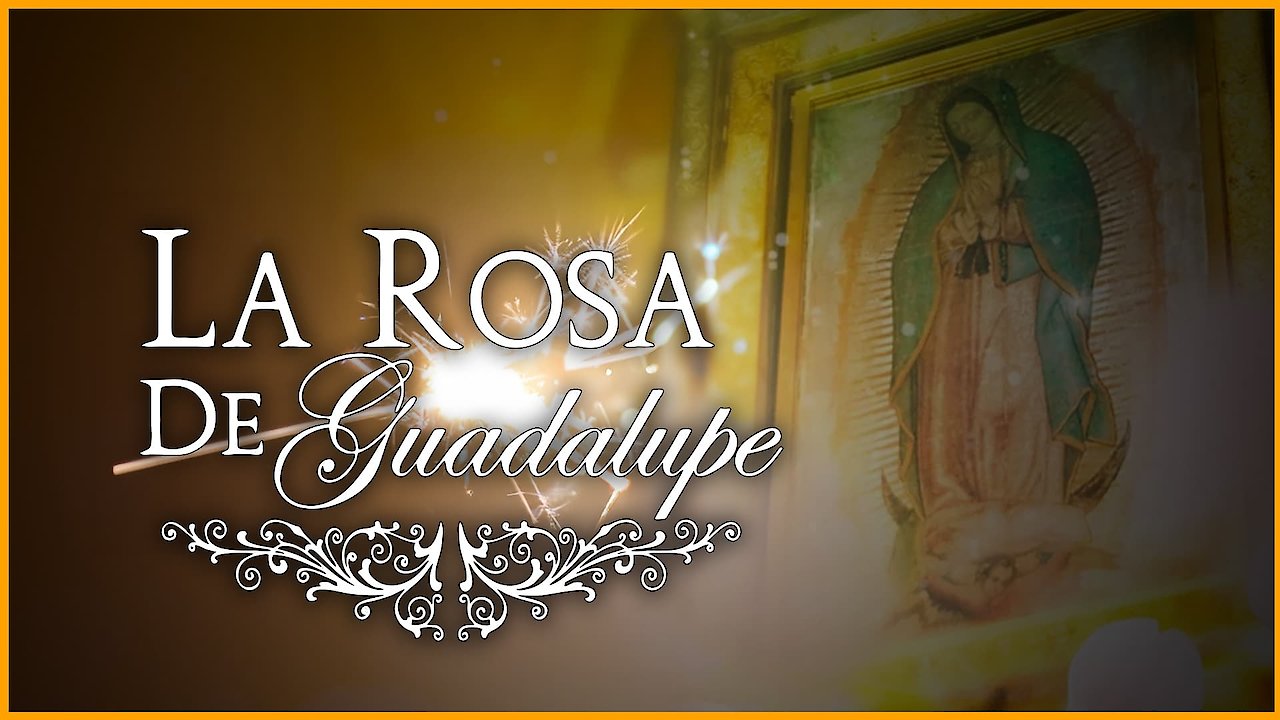 La Rosa de Guadalupe