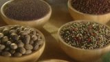 Discovering Exotic Fruits and Spices