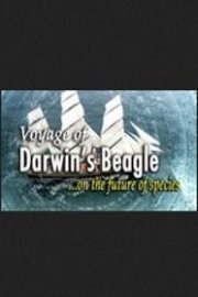 Voyage of Darwin's Beagle