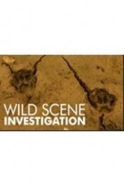 Wild Scene Investigation