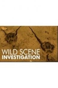 Wild Scene Investigation