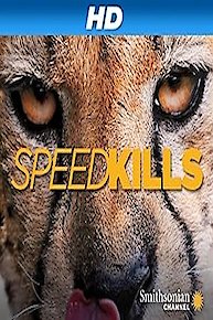 Speed Kills